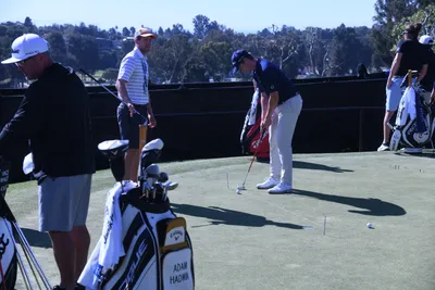 DSC_0750 (Large).JPG